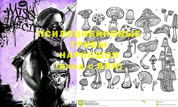 кокс Алзамай
