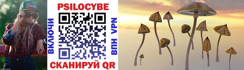 Галлюциногенные грибы Cubensis Каргат